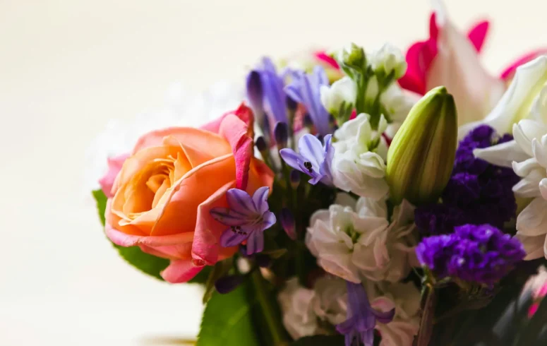 Fleurs pour Fête des Grands Mères 2025 : quelles fleurs choisir ?